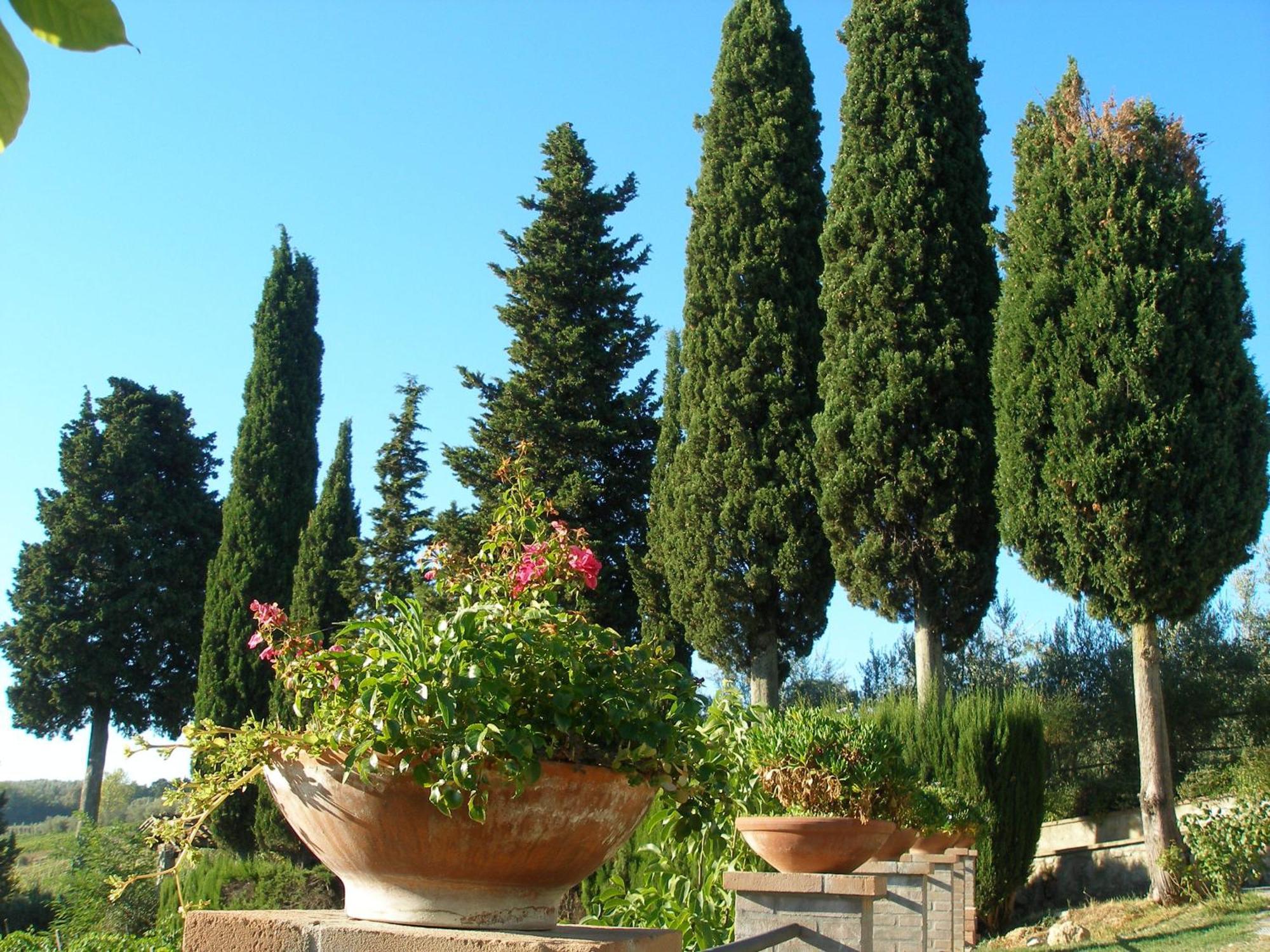 Podere Bellavista San Gimignano Zewnętrze zdjęcie