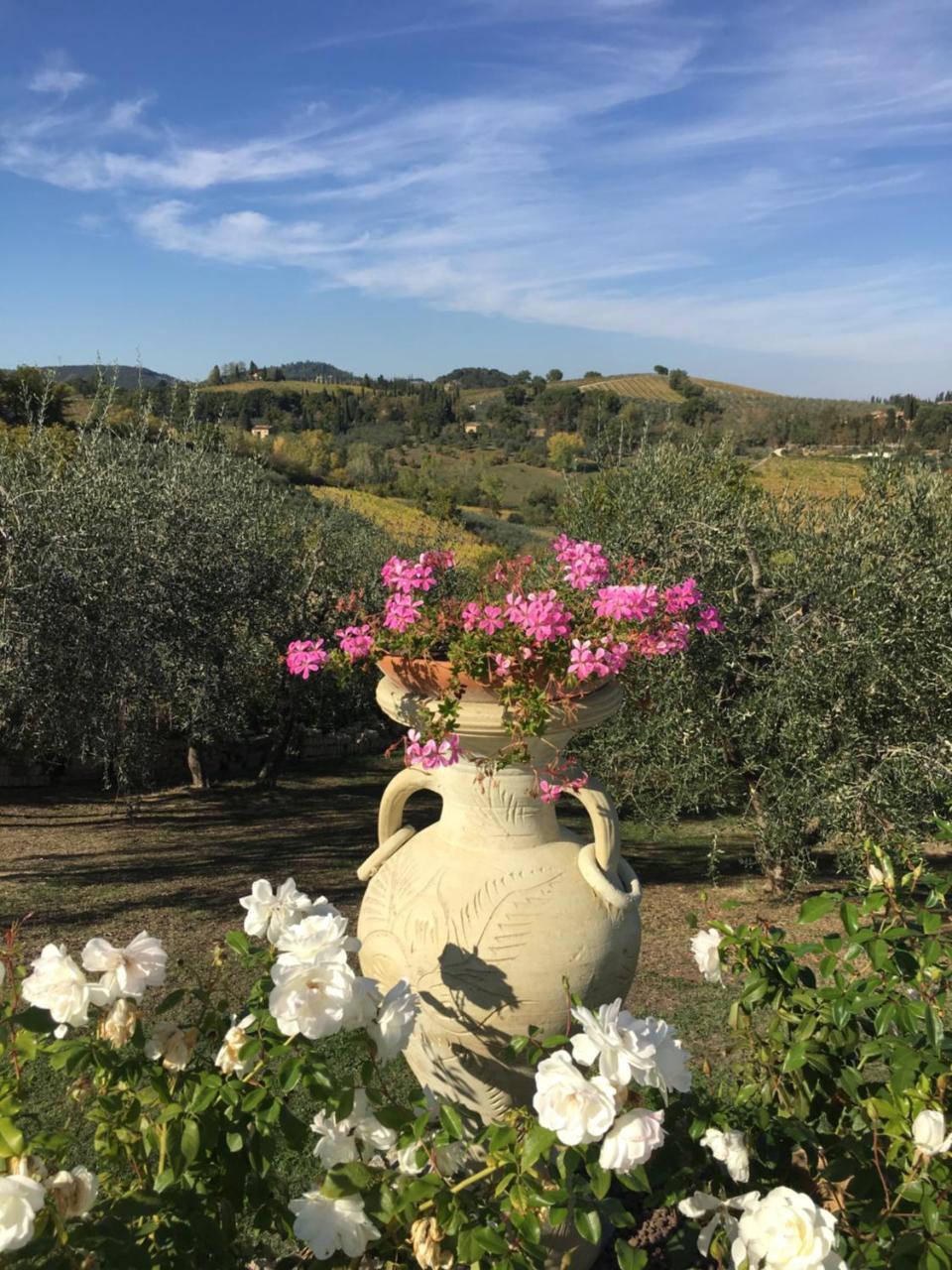Podere Bellavista San Gimignano Zewnętrze zdjęcie