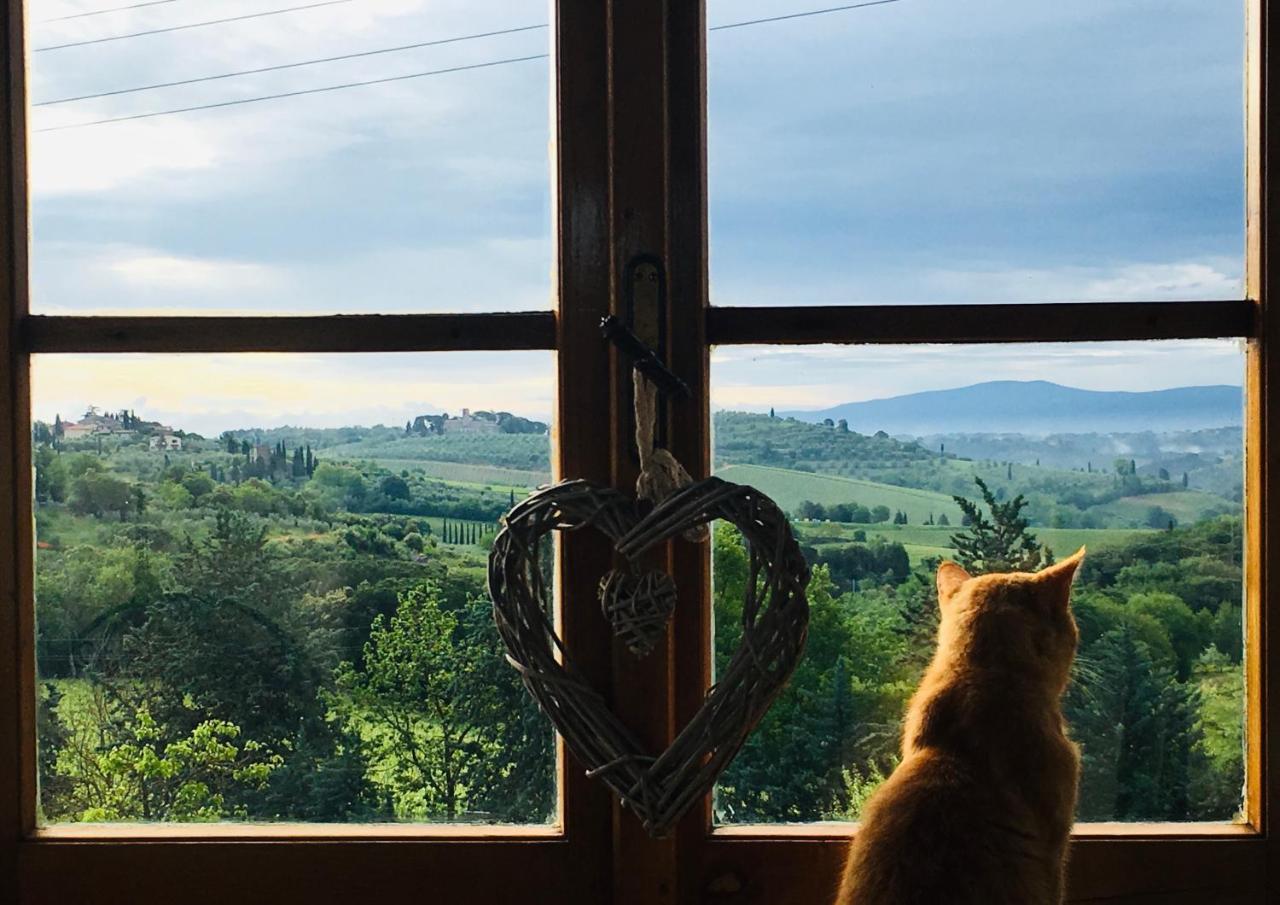 Podere Bellavista San Gimignano Zewnętrze zdjęcie
