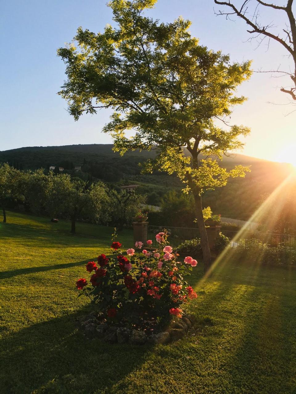 Podere Bellavista San Gimignano Zewnętrze zdjęcie