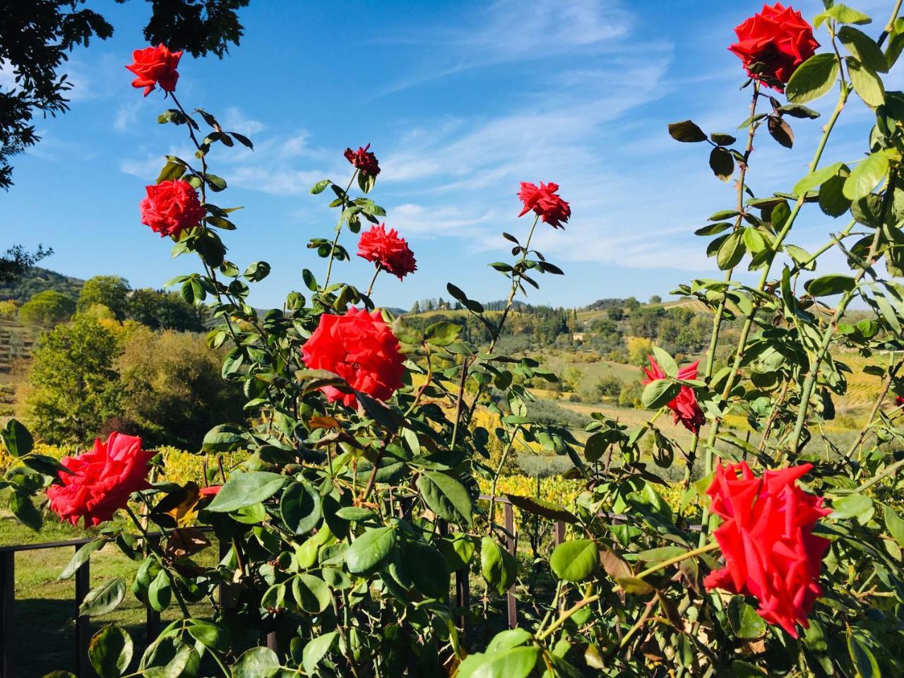 Podere Bellavista San Gimignano Zewnętrze zdjęcie