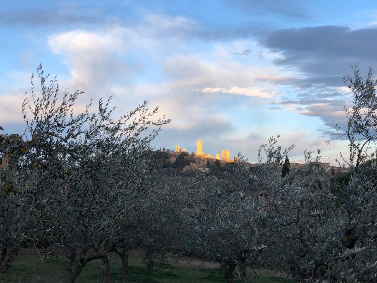 Podere Bellavista San Gimignano Zewnętrze zdjęcie