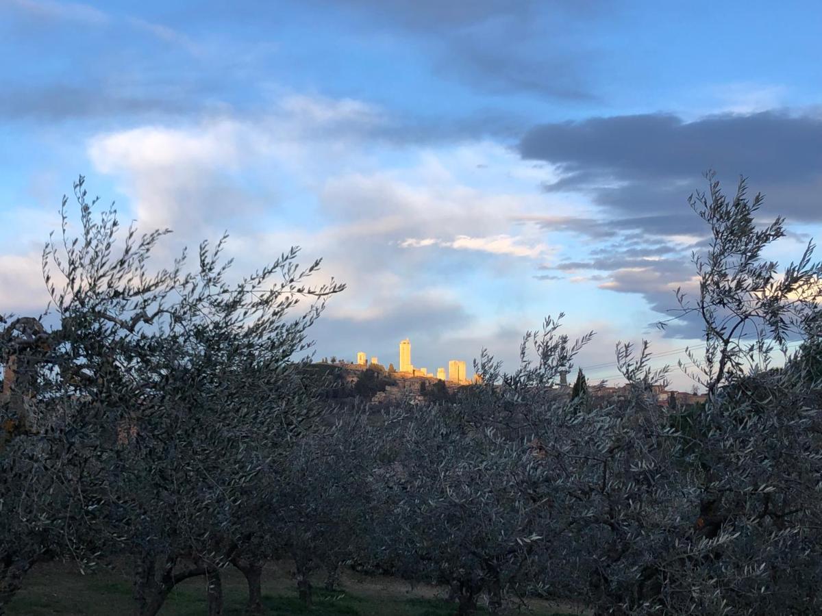 Podere Bellavista San Gimignano Zewnętrze zdjęcie